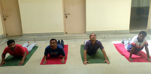 International Day of Yoga (IDY) was celebrated at IIG